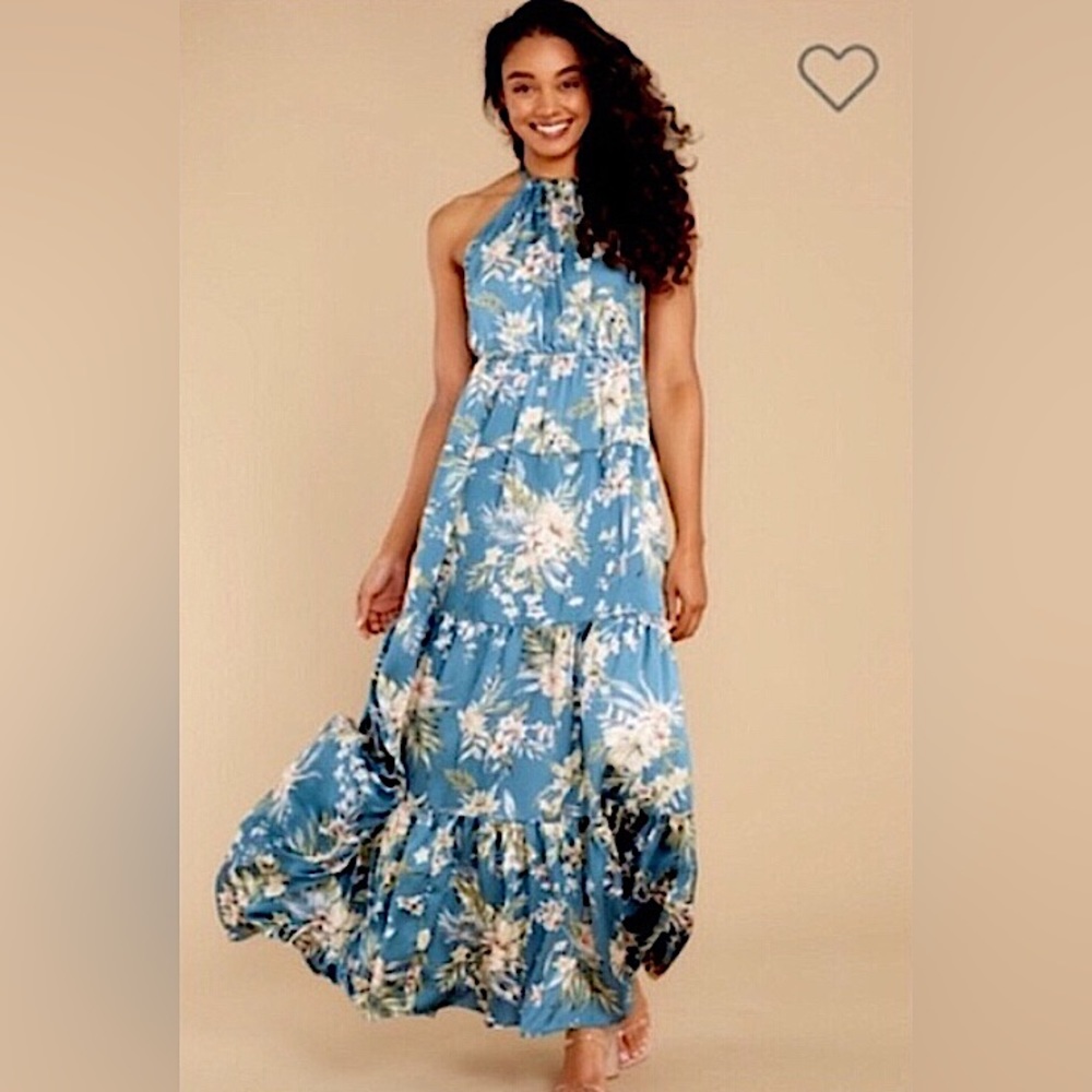 Red Dress Boutique Maxi Dress Multi Floral Blue Off White Green Sz S New